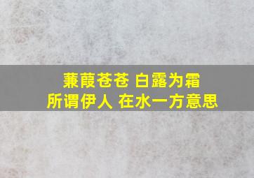 蒹葭苍苍 白露为霜 所谓伊人 在水一方意思